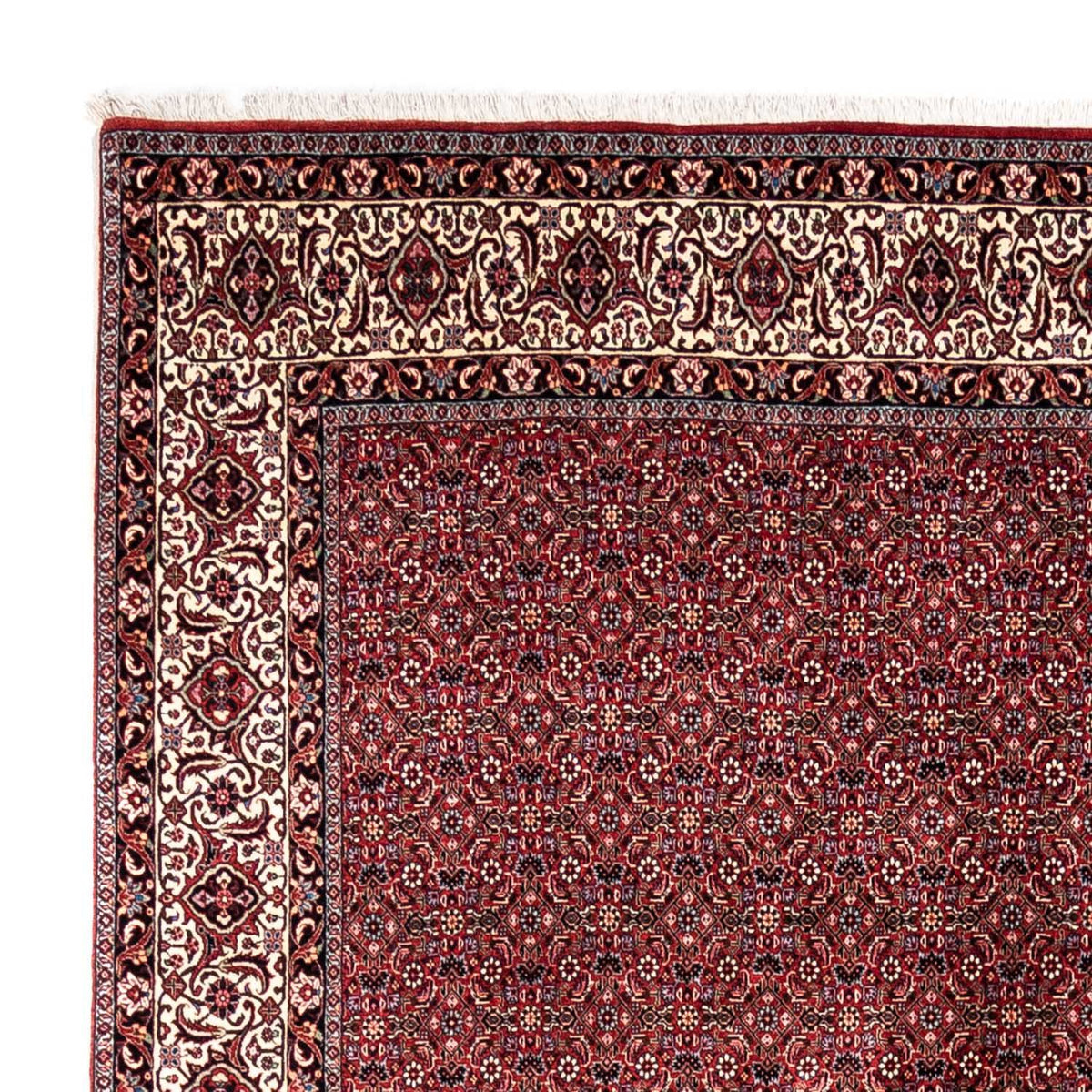 Bidjar - Takab Teppich 251x343cm - Perserteppich - rot