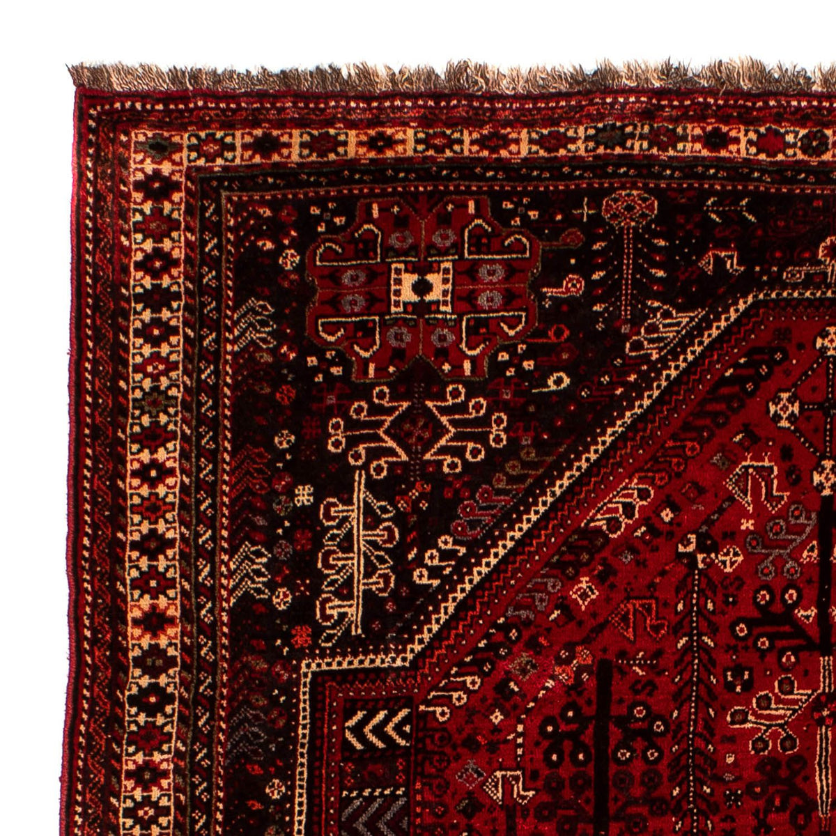 Shiraz Teppich 190x245cm - Perserteppich