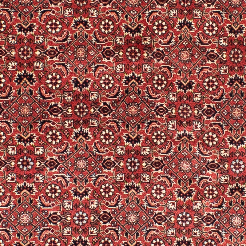 Bidjar Teppich 200x208cm - Perserteppich - hellrot