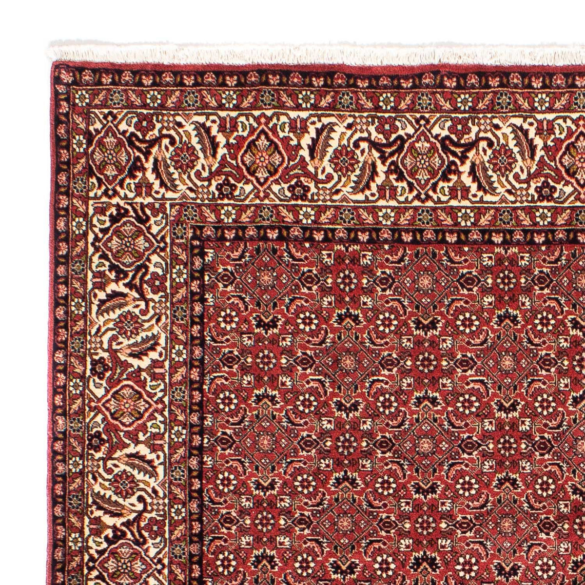 Bidjar Teppich 200x208cm - Perserteppich - hellrot