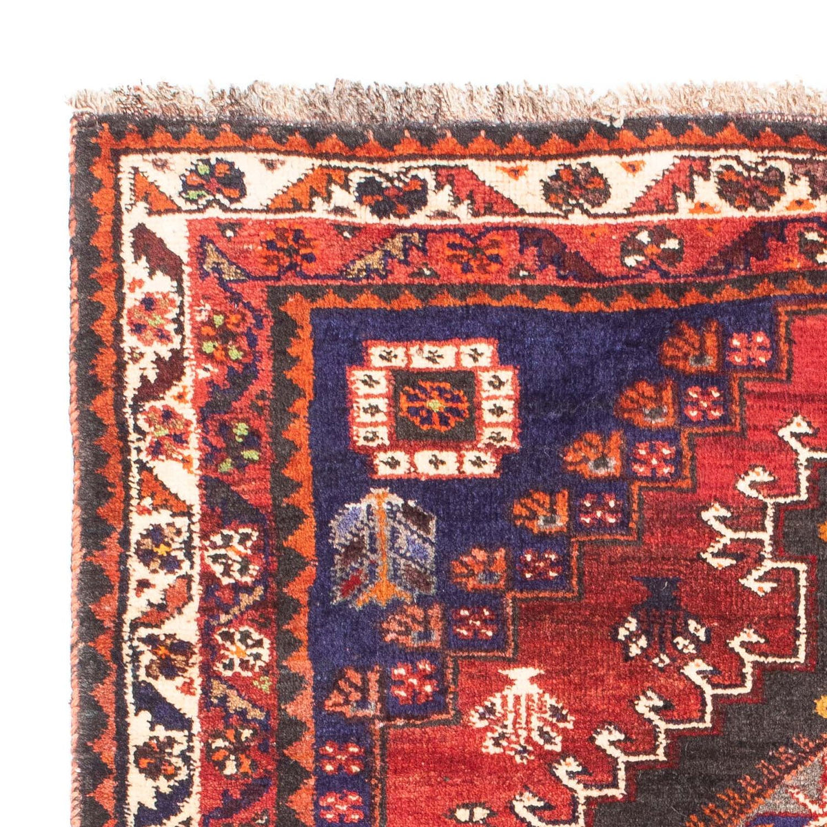 Shiraz Teppich 116x167cm - Perserteppich