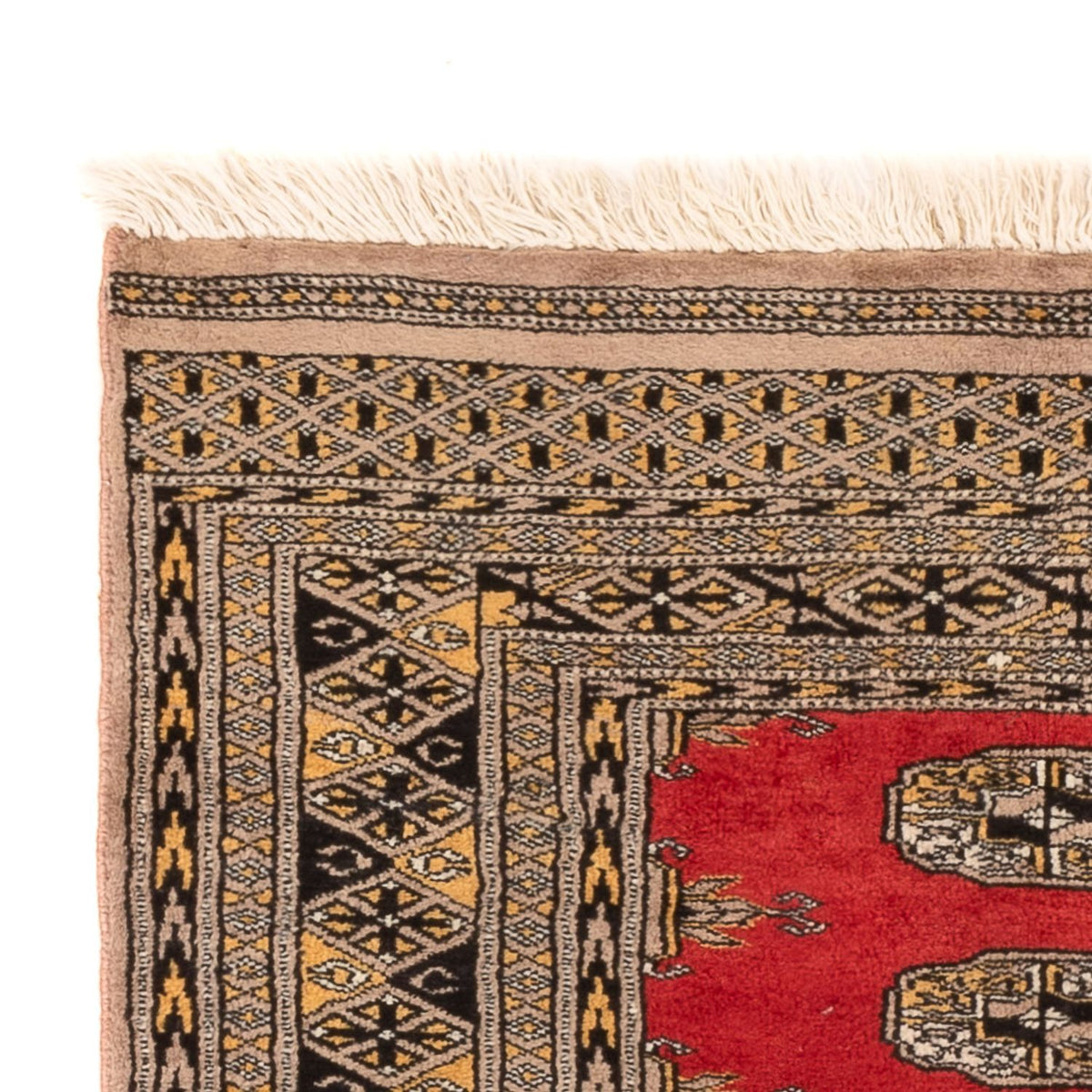 Pakistan Teppich 82x124cm - Orientteppich - rot